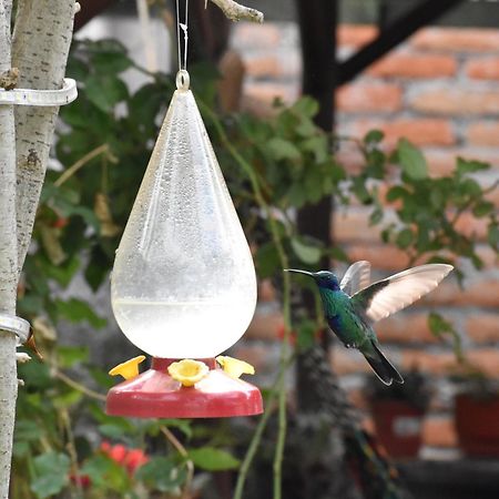 Colonial House Inn Кито Екстериор снимка